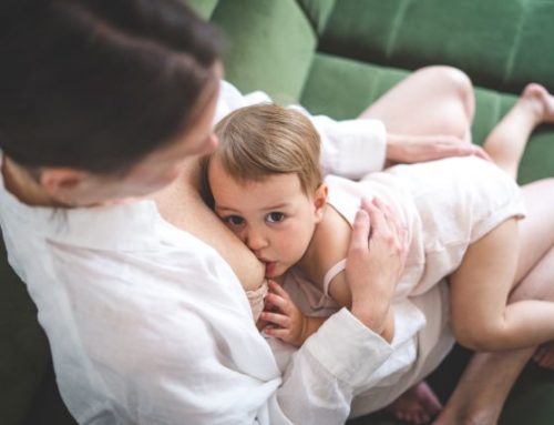 Die Kunst der Stillfotografie: Emotionen und Momente festhalten